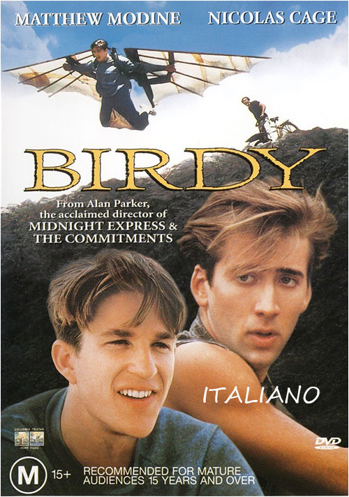 birdy