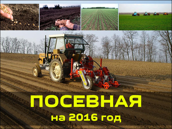 posevnoy-kalendar-2016
