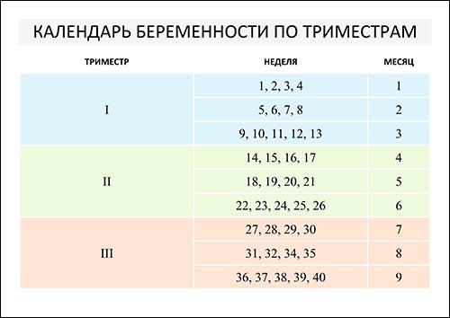 calendar-beremennosti-po-tremestram